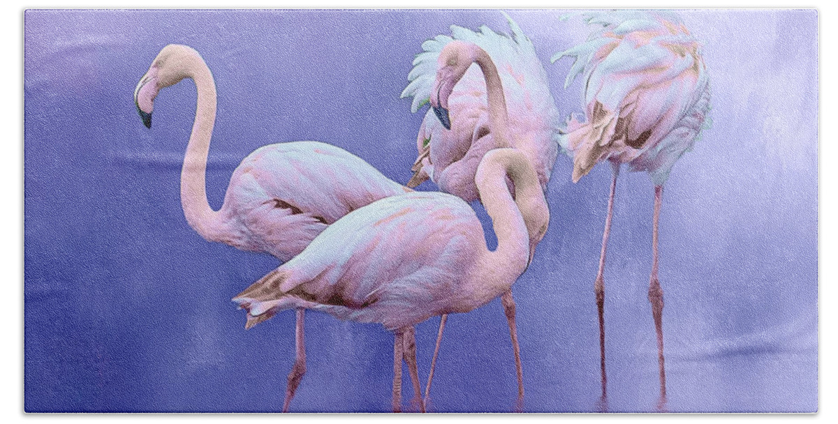 Flamingos Bath Towel featuring the photograph Birds of a feather by Brian Tarr