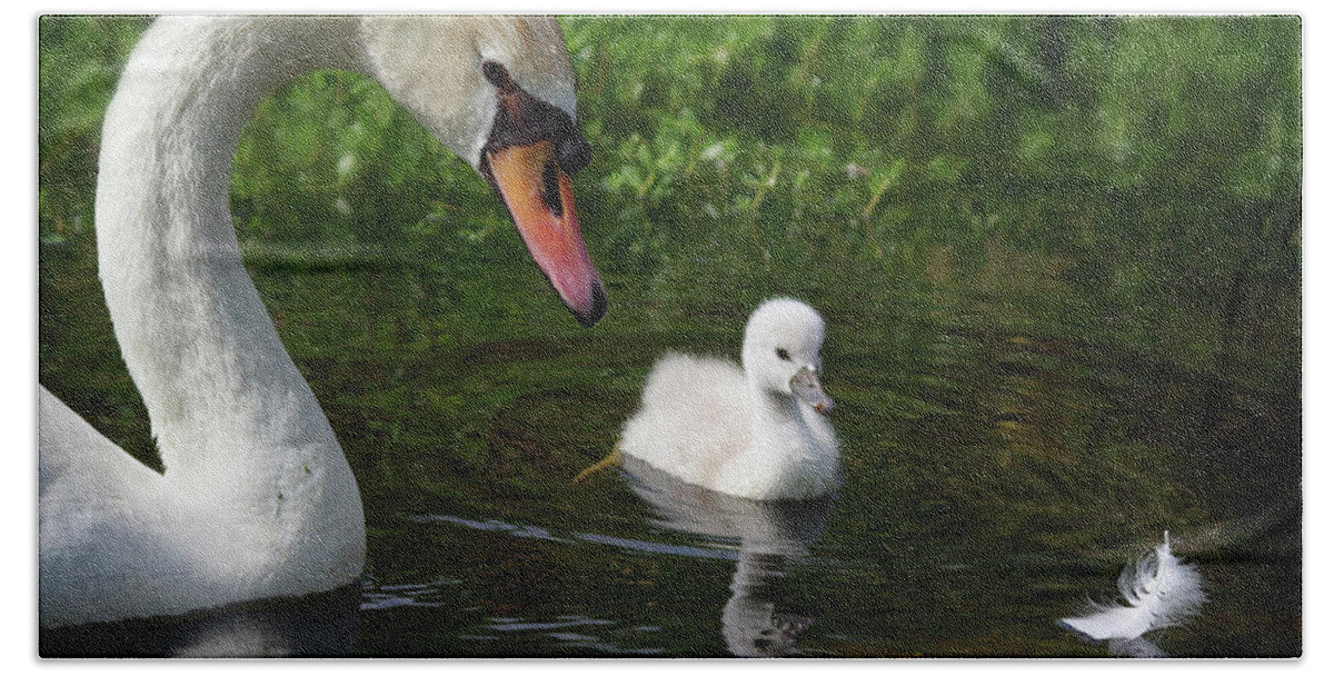 Mute Swans Bath Towel featuring the photograph Birds Of Feather... by Evelyn Garcia