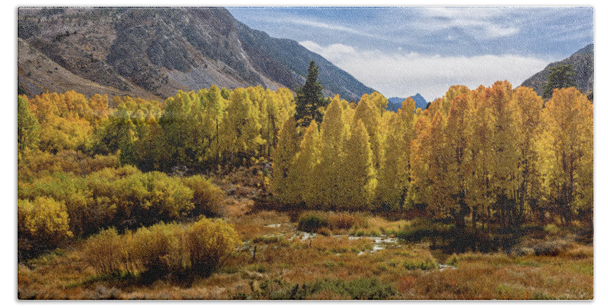 Af Zoom 24-70mm F/2.8g Hand Towel featuring the photograph Bishop Creek Aspen by John Hight