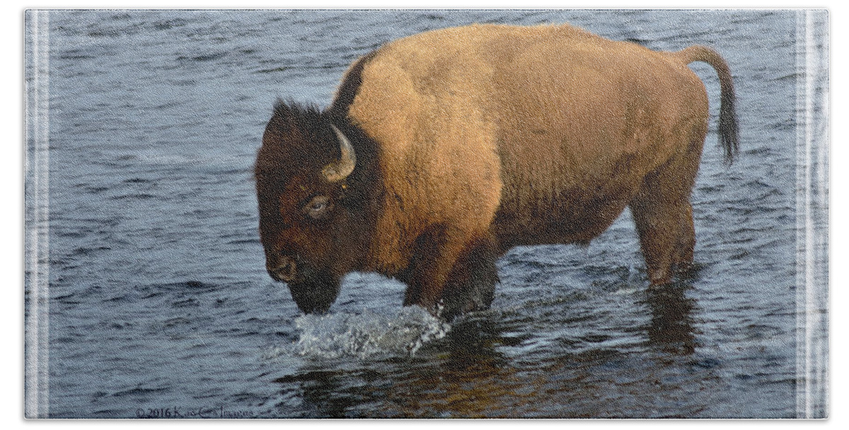 Bison Bison Hand Towel featuring the photograph Bison Crossing River by Kae Cheatham