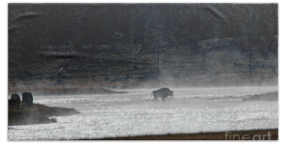 Bison Bath Towel featuring the photograph Bison in the river by Cindy Murphy - NightVisions