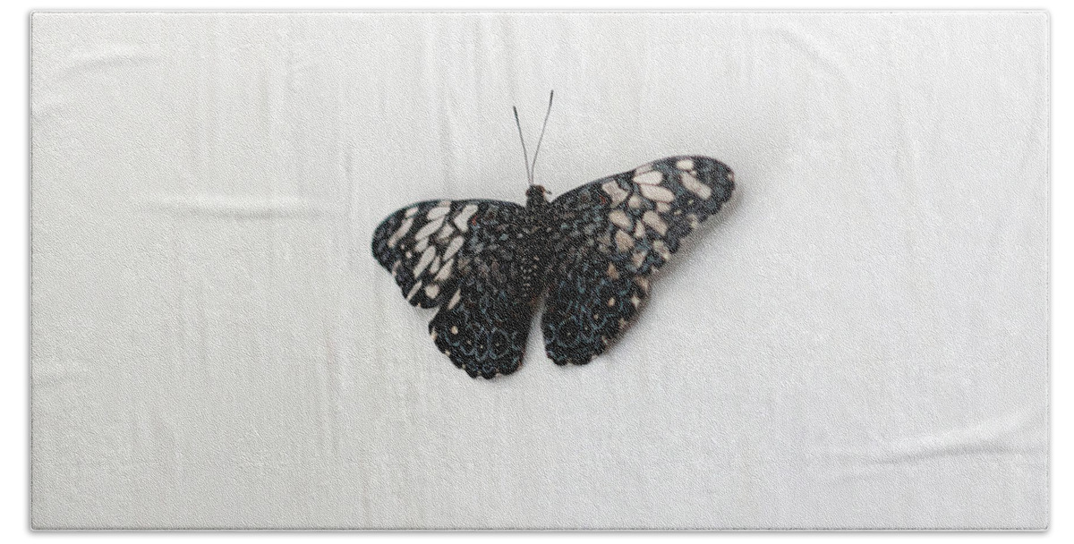 Black And White Butterfly Bath Sheet featuring the photograph Black and White Butterfly by Angela Murdock
