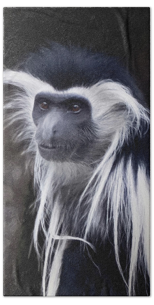 Colobus Angolensis Bath Towel featuring the photograph Black and white colobus monkey by Penny Lisowski