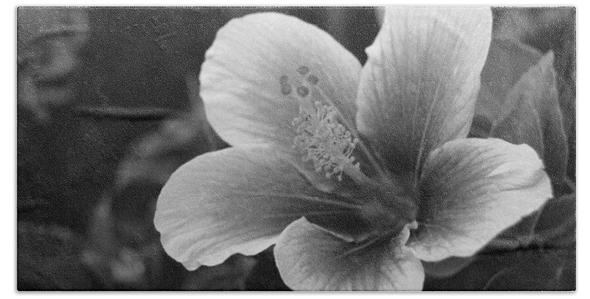 Flower Bath Towel featuring the photograph Black and White Hibiscus 1 by Amy Fose