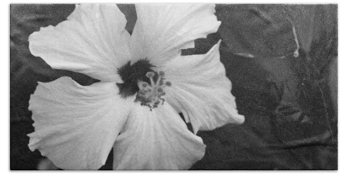 Flower Bath Towel featuring the photograph Black and White Hibiscus 2 by Amy Fose