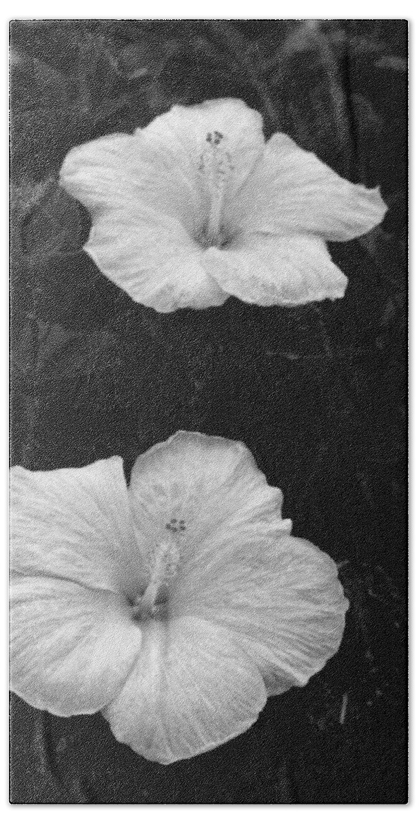 Flower Bath Towel featuring the photograph Black and White Hibiscus Duo by Amy Fose
