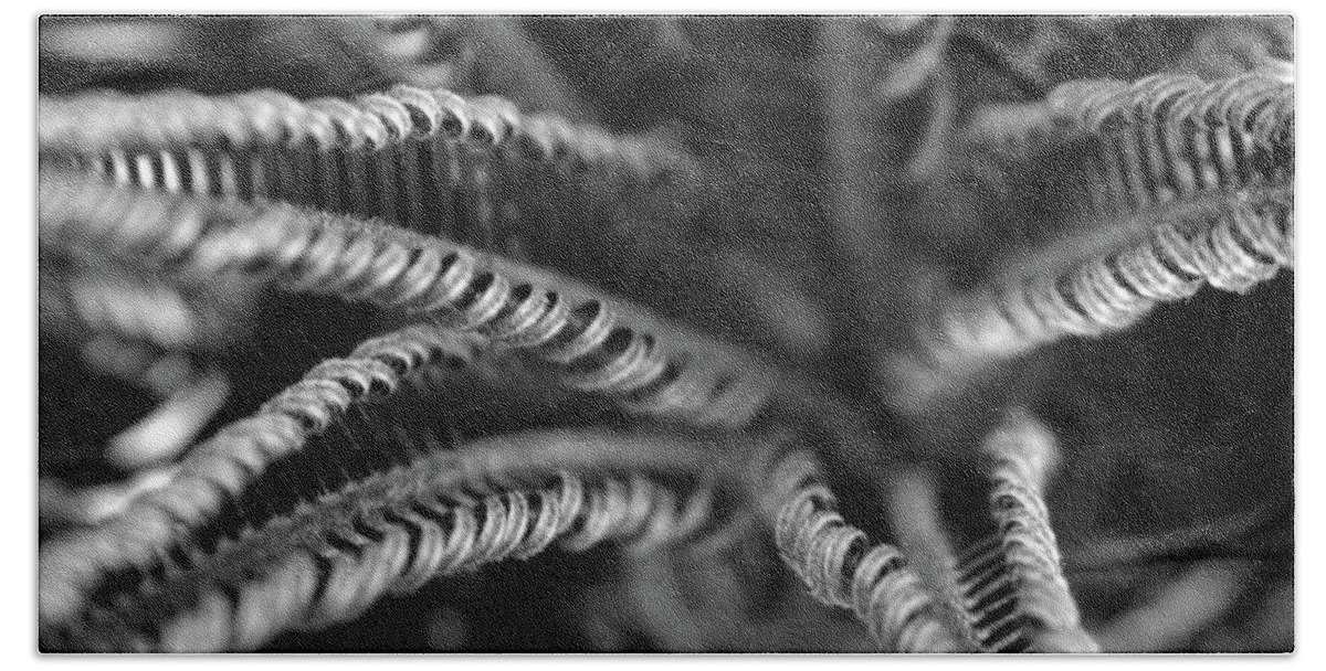 Palm Fronds Bath Towel featuring the photograph Black and White Palm Abstract 3624 BW_2 by Steven Ward