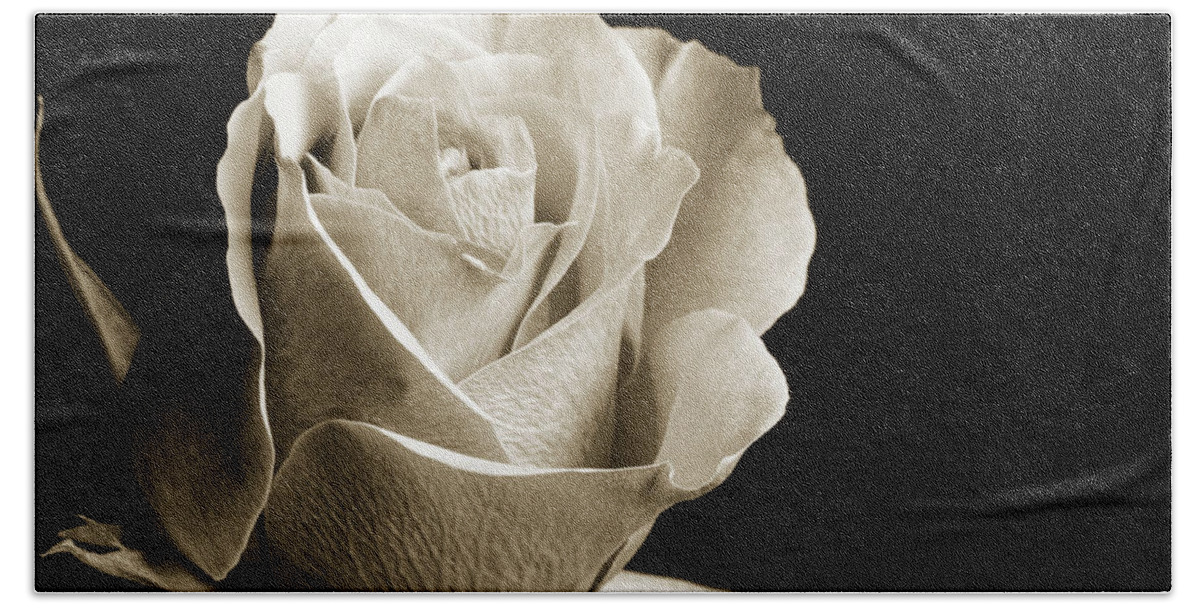 Rose Bath Towel featuring the photograph Black and White Rose 5534.01 by M K Miller