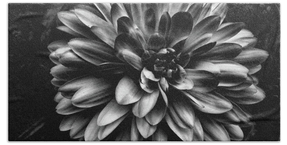 Black Dahlia Flower Hand Towel featuring the photograph Black Dahlia Flower by Phyllis Taylor