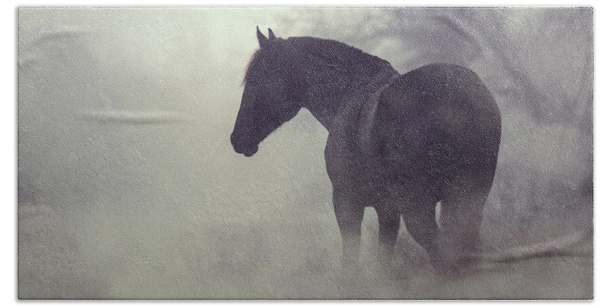 Horse Bath Towel featuring the photograph Black horse in the dark mist by Dimitar Hristov