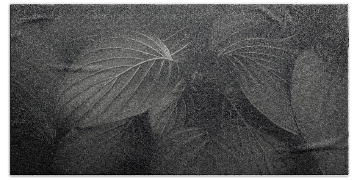 Leaf Hand Towel featuring the photograph Black Leaves by Scott Norris