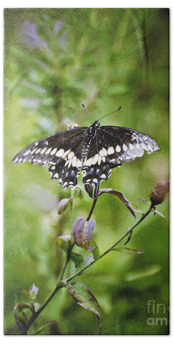 Black Swallowtail Butterfly Bath Towel featuring the photograph Black Swallowtail Butterfly by Kerri Farley