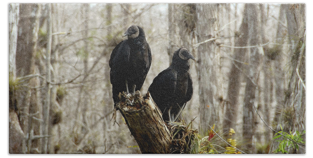 Black Vultures Hand Towel featuring the photograph Black vultures by David Lee Thompson