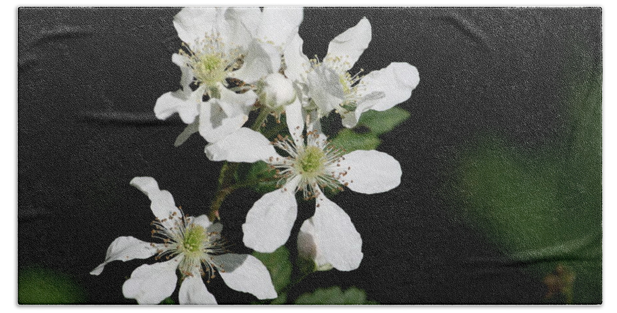 Fruit Hand Towel featuring the photograph Blackberry Blooms by Cathy Harper