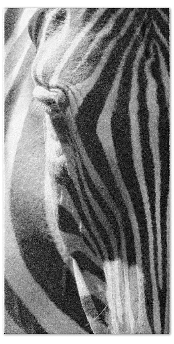 Zebra Hand Towel featuring the photograph Blink by Lori Lafargue