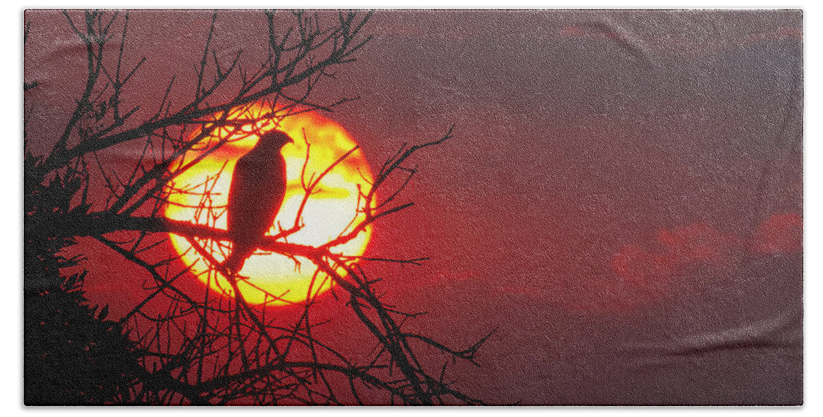Sunsets/sunrises Bath Towel featuring the photograph Blood Red by Jim Garrison