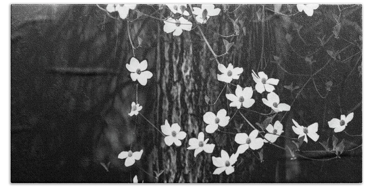 Yosemite Bath Towel featuring the photograph Blooming Dogwoods in Yosemite Black and White by Larry Marshall