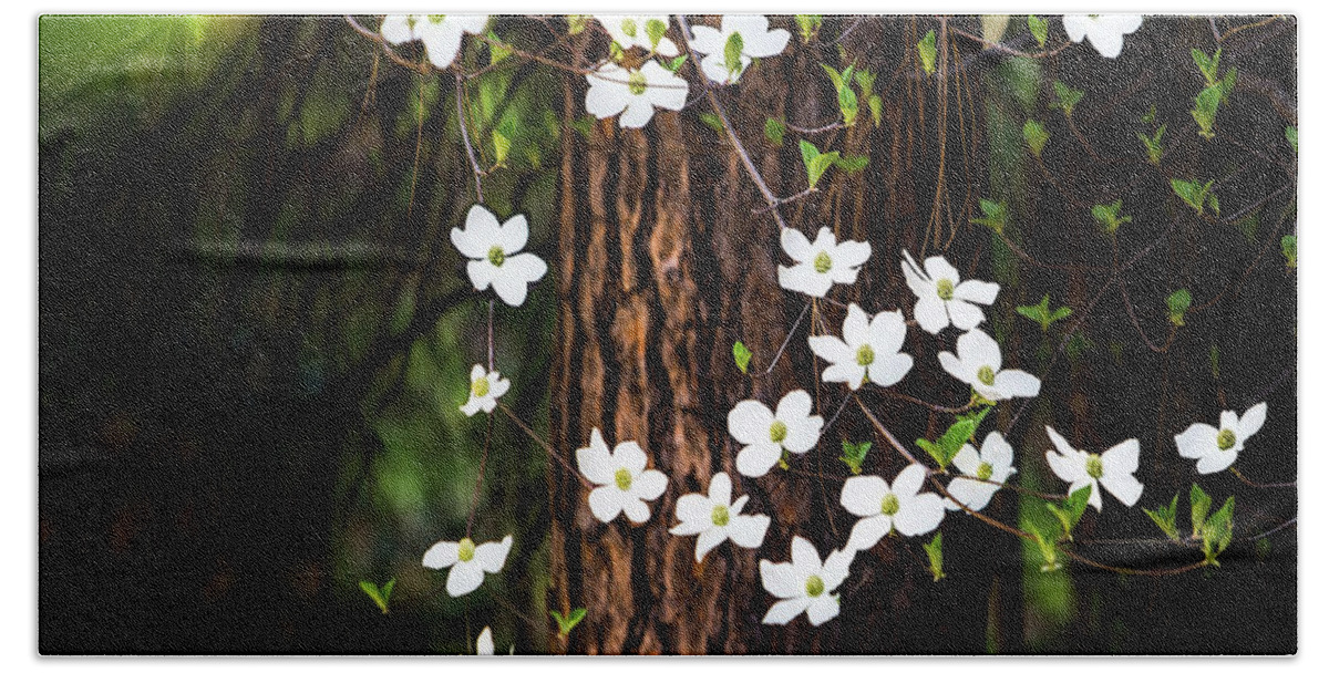 Yosemite Hand Towel featuring the photograph Blooming Dogwoods in Yosemite by Larry Marshall