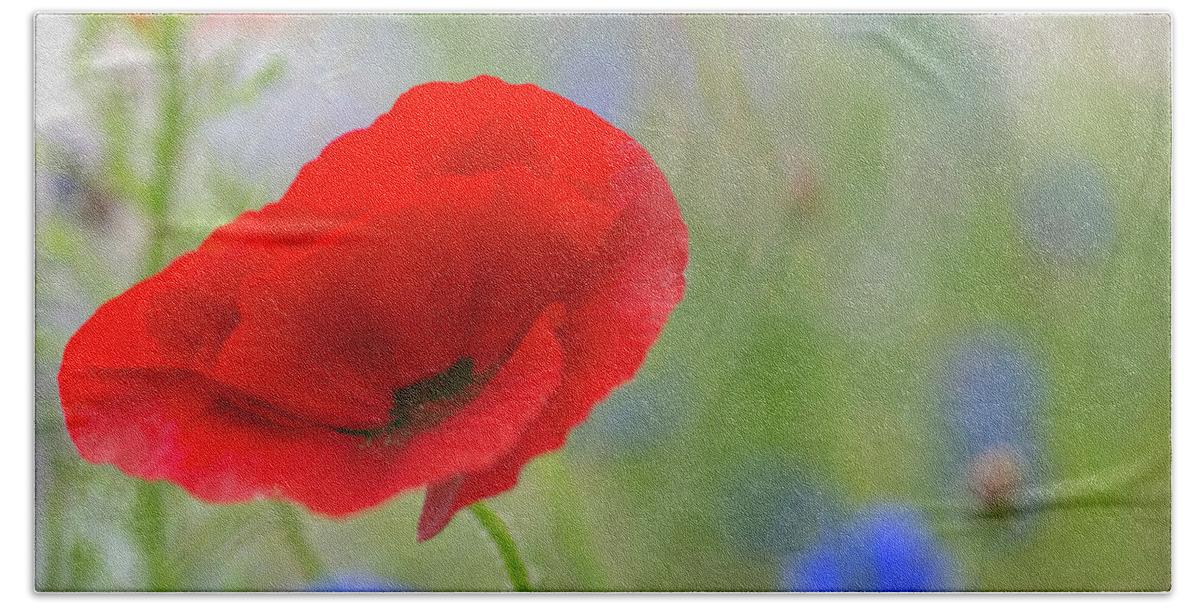 Poppy Bath Towel featuring the photograph Blowing Poppy by Kathy Paynter