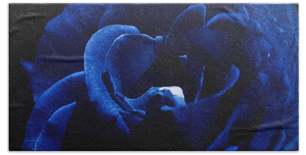 Clay Bath Towel featuring the photograph Blue Blue Rose by Clayton Bruster