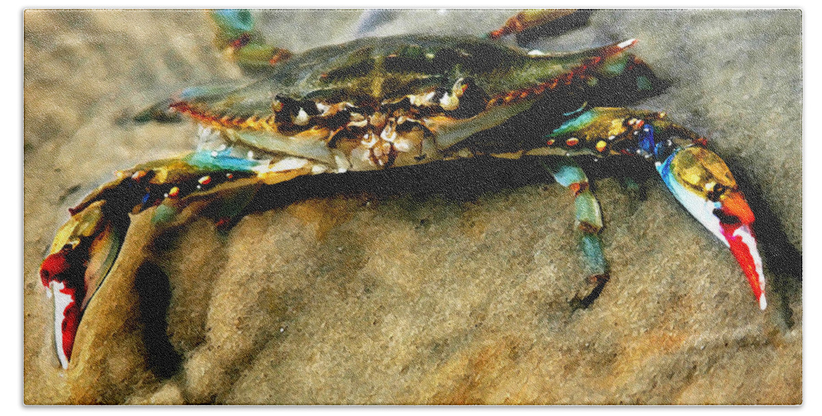 Crab Hand Towel featuring the photograph Blue Crab by Joan McCool