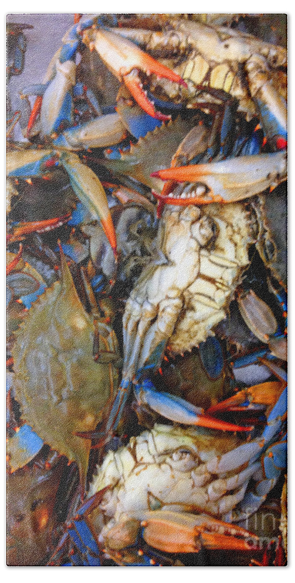 Crab Hand Towel featuring the photograph Blue Crab Two by Jost Houk