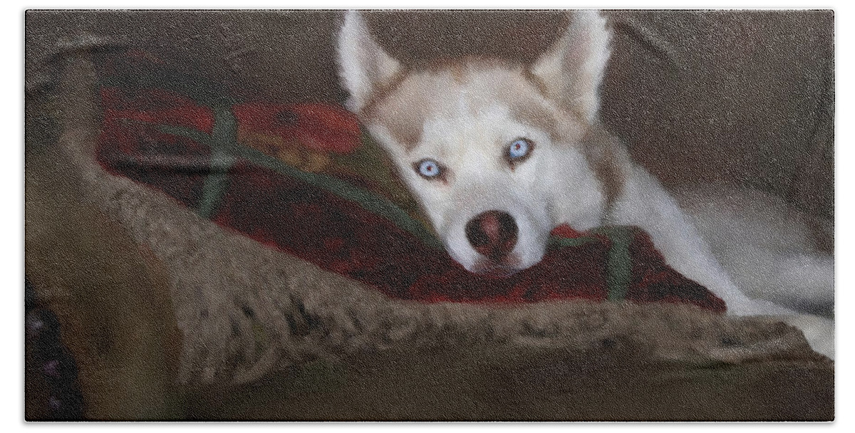 Dog Hand Towel featuring the painting Blue Eyes by Colleen Taylor