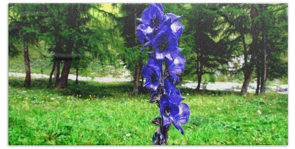 Orchid Bath Towel featuring the photograph Blue Flowers by Cesar Vieira