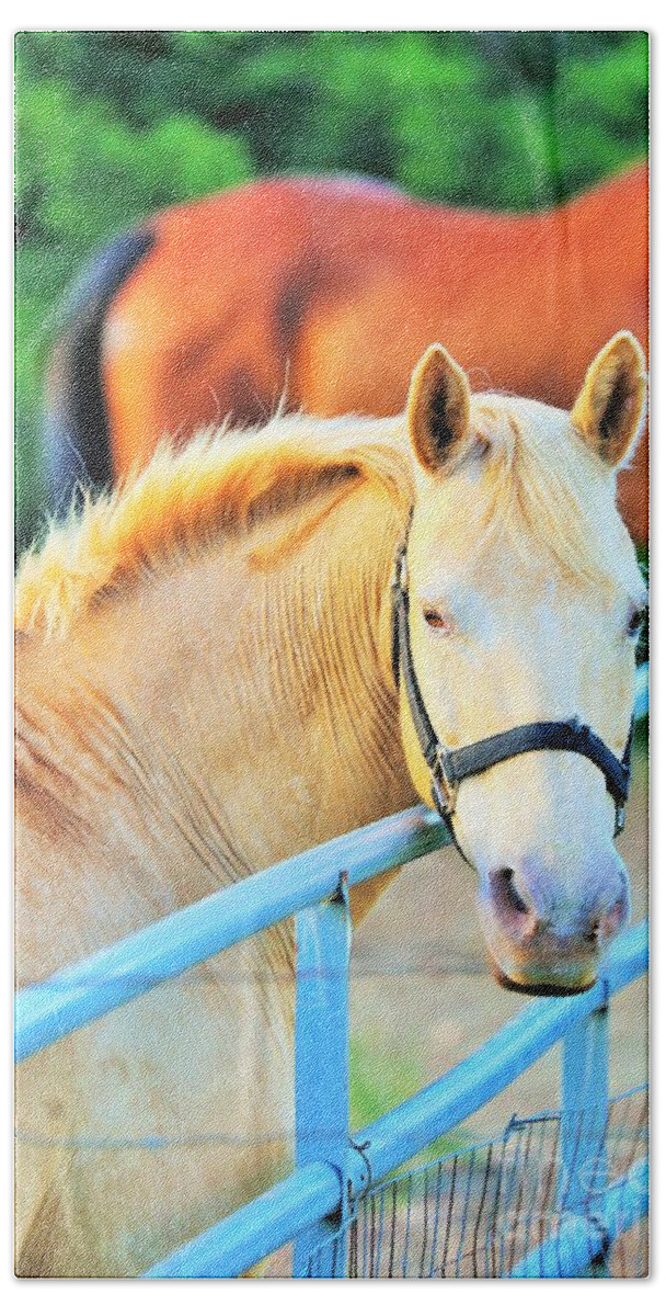 Landscape.hill Country.horse.head.gate.horse Face.animal.wall Art.office Decor.home.wall.tote Bag.throw Pillow.shower Curtain.poster.post Cards.print Bath Sheet featuring the photograph Blue Gate by Jeff Downs