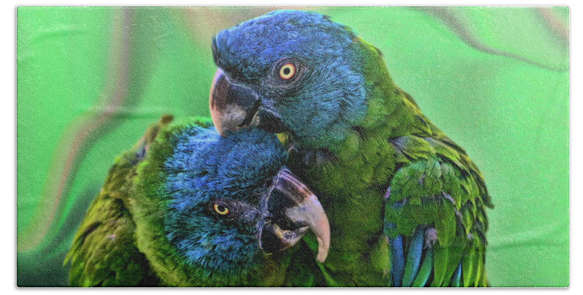 Parrot Bath Towel featuring the photograph Blue Headed Macaws by Allen Beatty