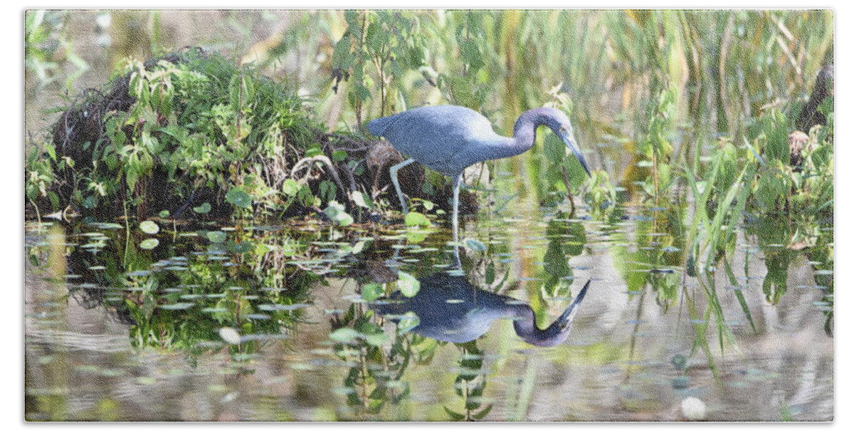 Blue Heron Hand Towel featuring the photograph Blue Heron Fishing in a Pond in Bright Daylight by Artful Imagery