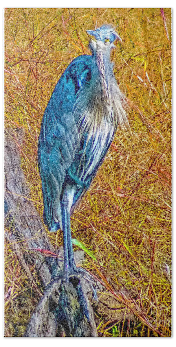 Blackwater Bath Towel featuring the photograph Blue Heron in Maryland by Nick Zelinsky Jr