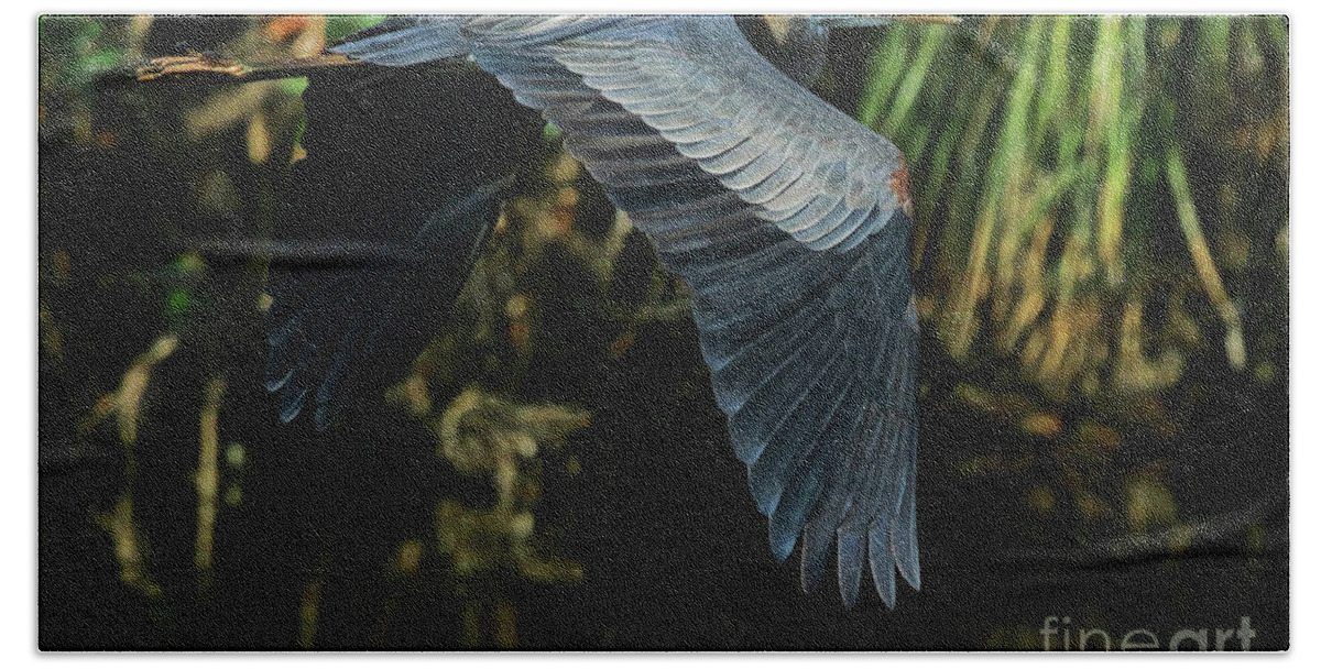 Heron Hand Towel featuring the photograph Blue Heron Series The Pond by Deborah Benoit