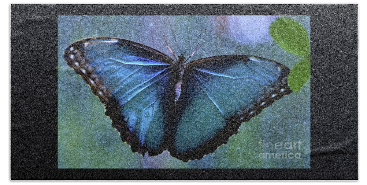 Butterfly Portrait Bath Towel featuring the photograph Blue Morpho Butterfly Portrait by Marcus Dagan