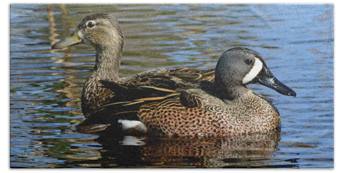 Ducks Hand Towel featuring the photograph Blue Winged Teal Pair by Jerry Griffin