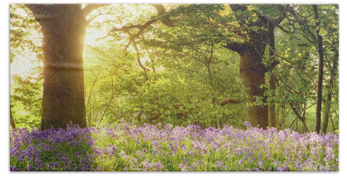 Bluebells Bath Towel featuring the photograph Bluebell wood with magical morning sunrise by Simon Bratt
