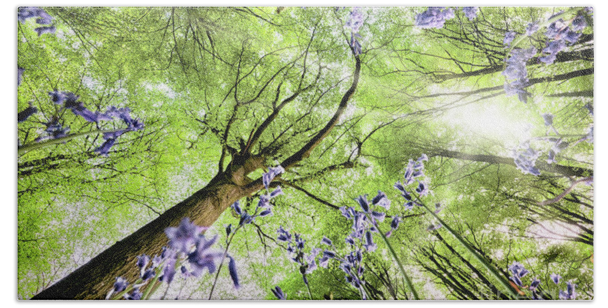 Flowers Bath Towel featuring the photograph Bluebells from worms eye view by Simon Bratt