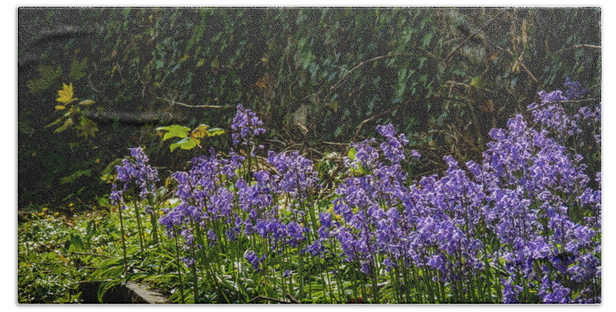 Flowers & Plants Hand Towel featuring the photograph Bluebells in Kilrush Town by James Truett