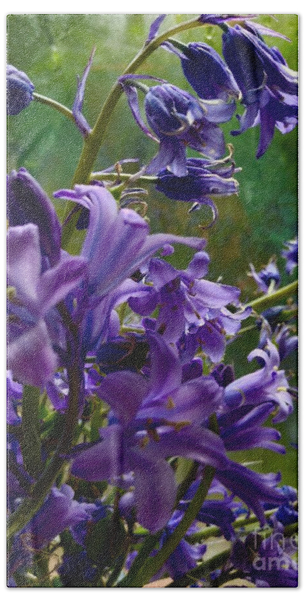 Bluebells Bath Towel featuring the photograph Bluebells in my Garden Window 2 by Joan-Violet Stretch
