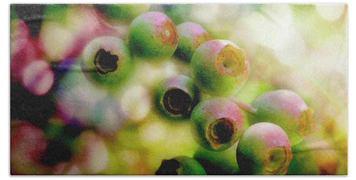 Blueberries Hand Towel featuring the photograph Blueberry On The Vine by Mike Eingle