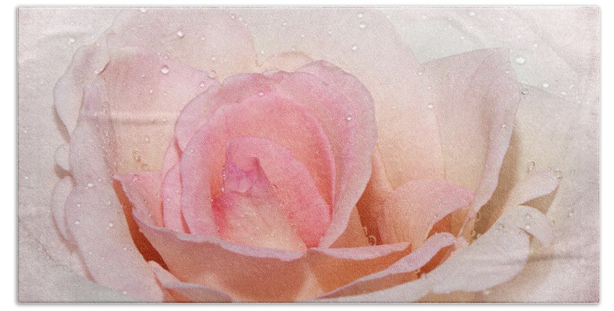 Rose Hand Towel featuring the photograph Blush Pink Dewy Rose by Phyllis Denton