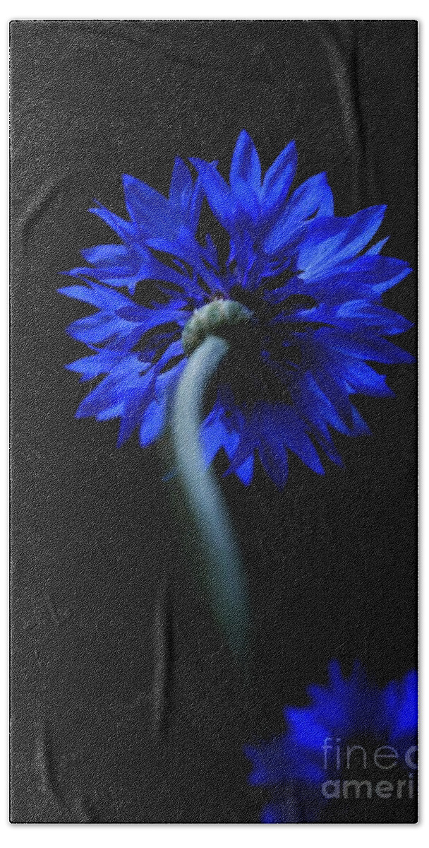 Flower Bath Towel featuring the photograph Boldly Moving Forward by Dani McEvoy