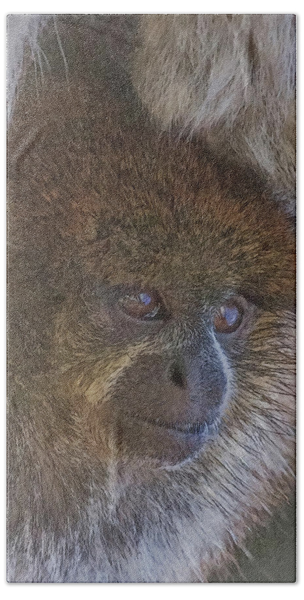 Monkey Bath Towel featuring the digital art Bolivian Grey Titi Monkey by Larry Linton