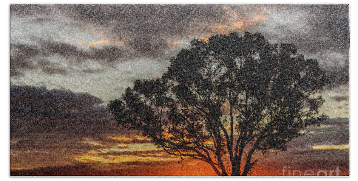 Tree Bath Towel featuring the photograph Boorowa Sunset by Werner Padarin