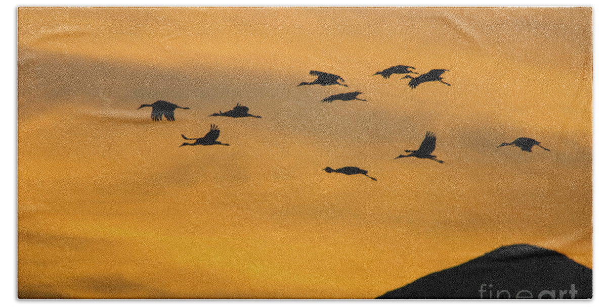 Sunset Bath Towel featuring the photograph Bosque del Apache Sunset No 3 by John Greco