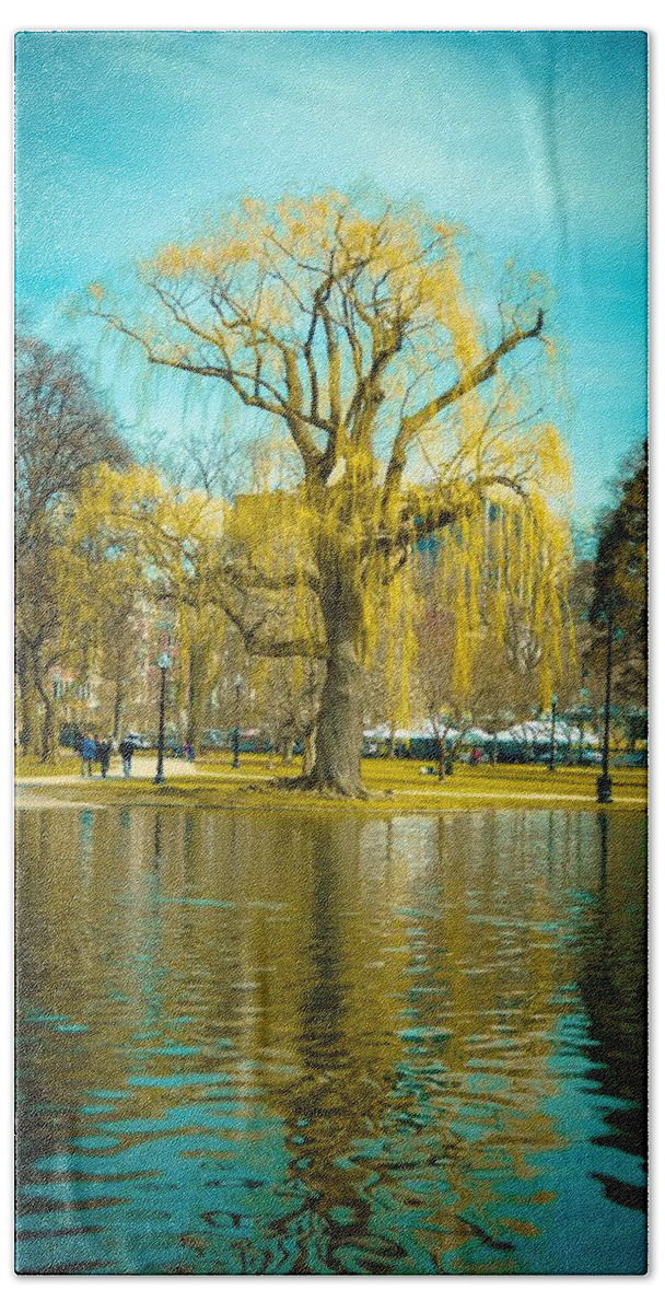 Spring Hand Towel featuring the photograph Boston Tree by Fabio Ferreira