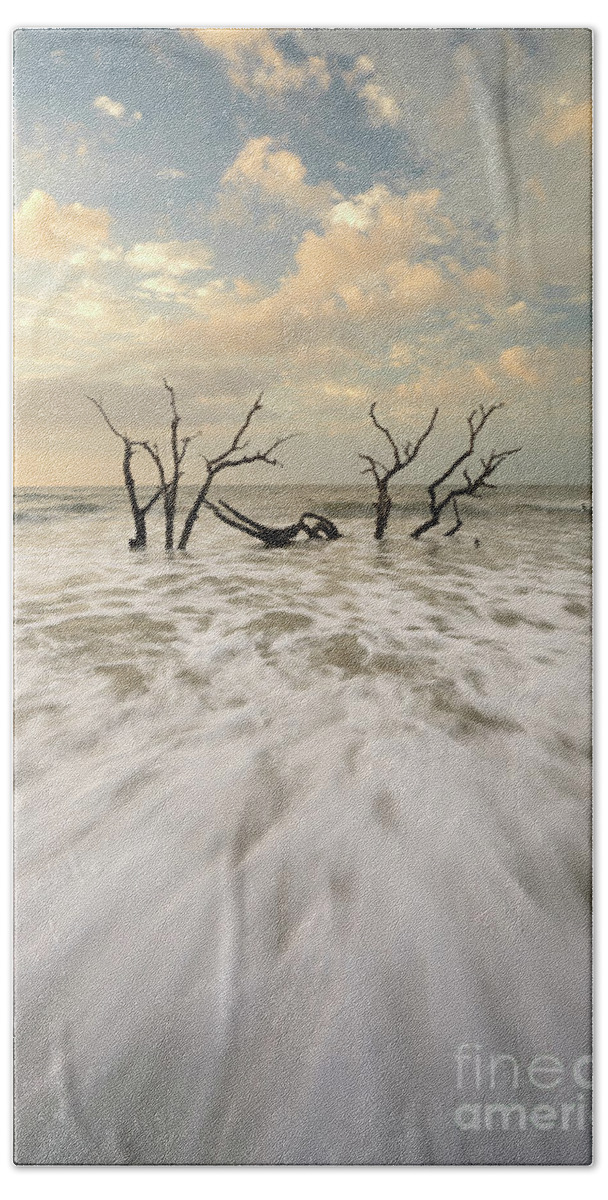 South Carolina Hand Towel featuring the photograph Botany Bay in South Carolina by Benedict Heekwan Yang