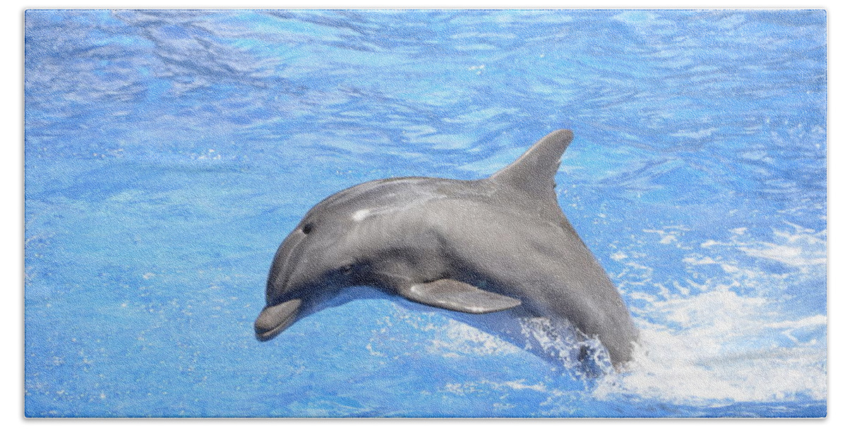 Dolphin Hand Towel featuring the photograph Bottlenose Dolphin Jumping in Pool by Artful Imagery