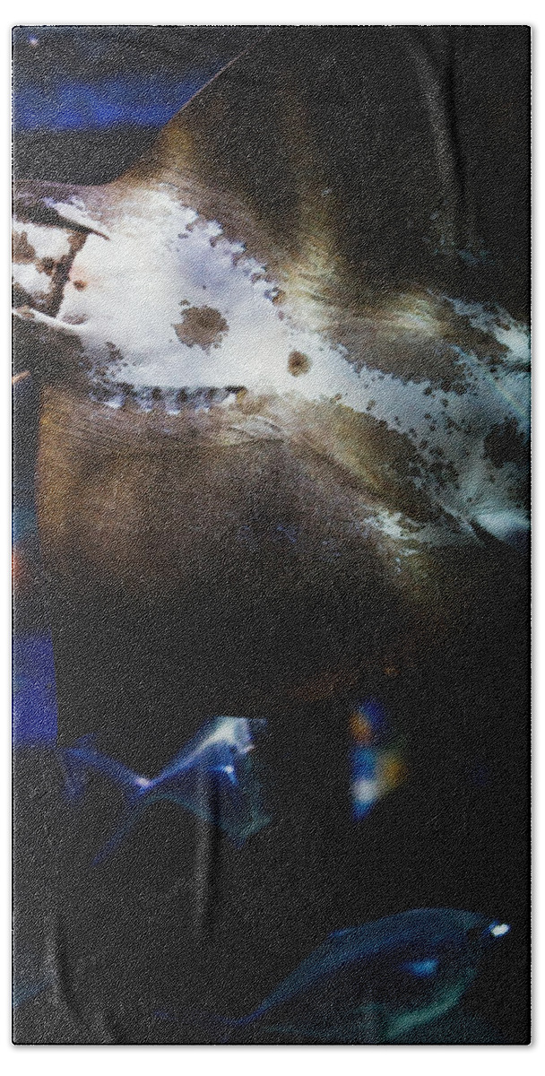 Painterly Bath Towel featuring the mixed media Bottom Of A Ray Fish by Pati Photography