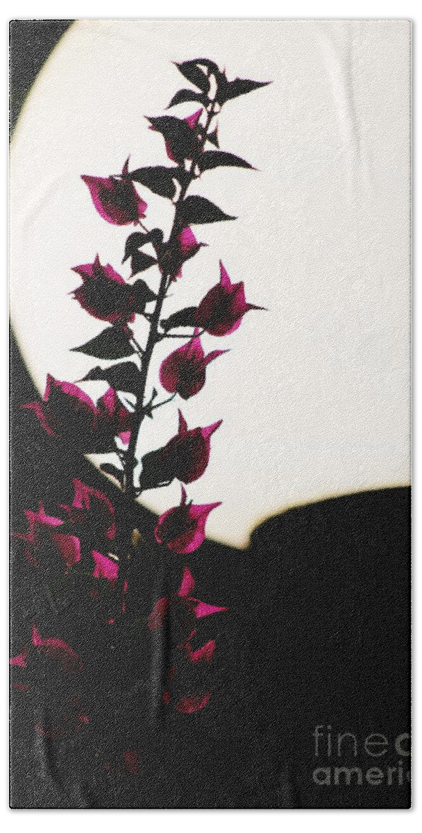 Bougainvillea Hand Towel featuring the photograph Bougainvillea by Lamplight by Craig Wood